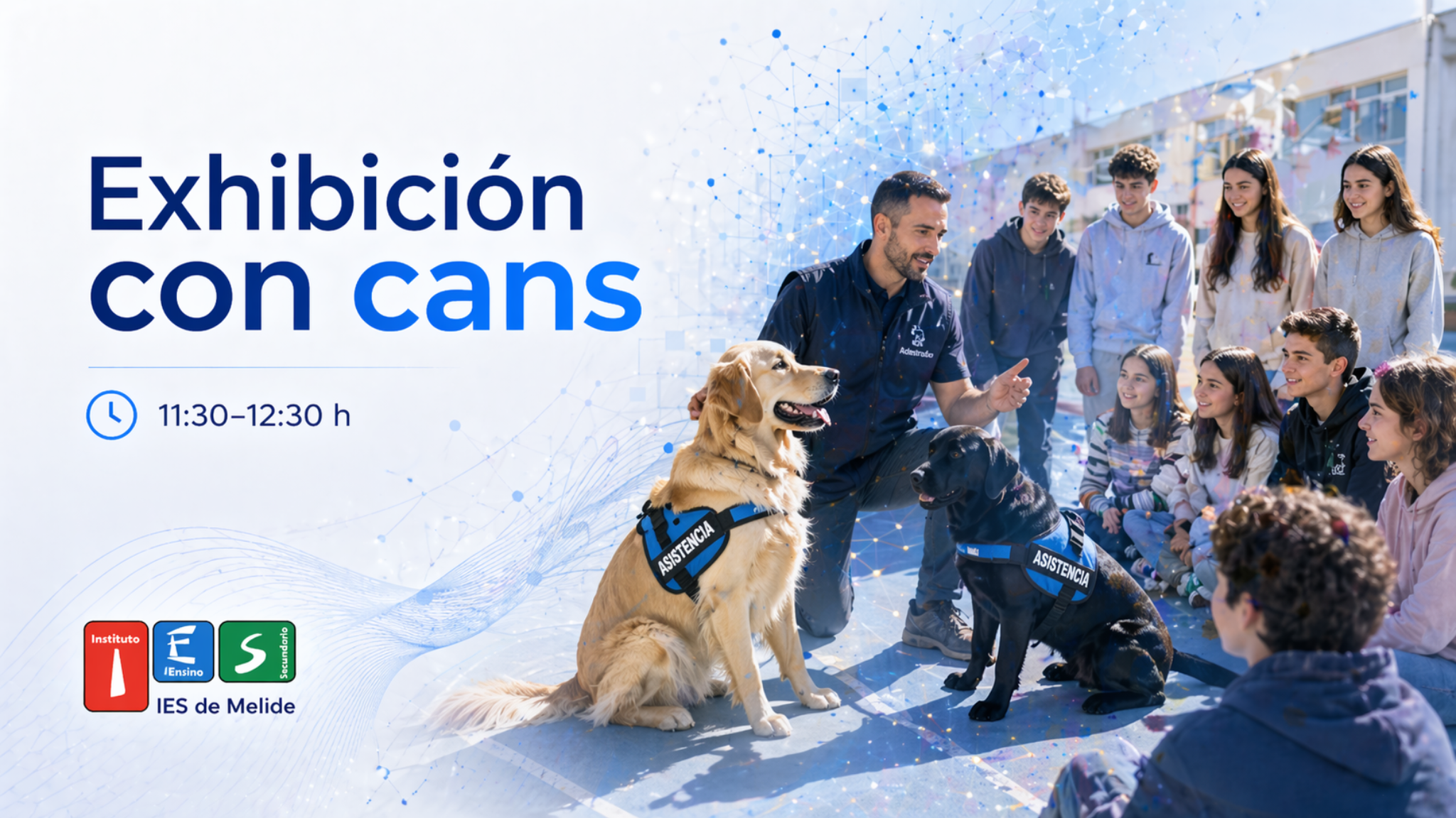 Cartel da exhibición con cans